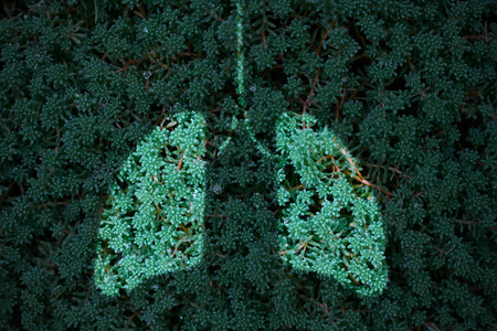 Green grass and lung shape, carbon footprint reduction concept, environmental protection