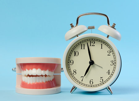 Round alarm clock and plastic model of a human jaw on a blue background, brushing teeth in the morningの写真素材