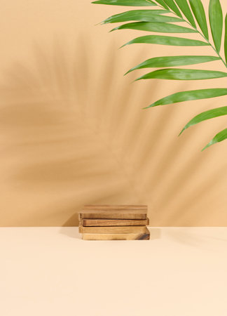 Wooden platform, shadow from a palm leaf on a brown background. Place for displaying cosmeticsの写真素材