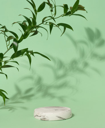 Empty round white marble stand on a green background and green leaves, a place to display cosmetics and productsの写真素材
