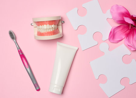 Model of a human jaw with white teeth, toothpaste on a pink background, top view.