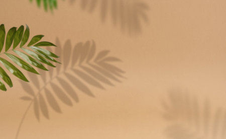Abstract brown background with shadow from a palm tree branch with leaves, a place for displaying...