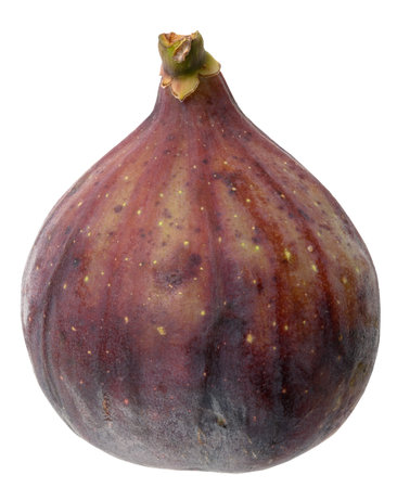 Whole ripe purple fig on isolated background, close upの写真素材