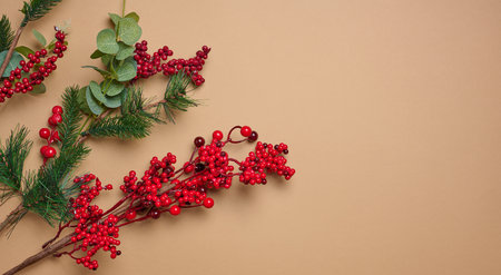 Decorative Christmas branch with red berries and pine cones on a brown background, top viewの写真素材