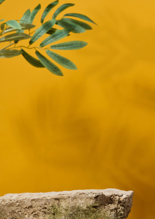 Stone on yellow background with shadow and green branch, stage for cosmetics and products demonstrationの写真素材