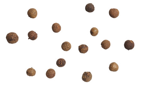 Dried allspice berries scattered on a white backgroundの写真素材