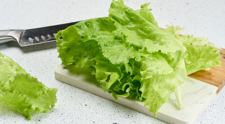 Fresh, crisp lettuce leaves are arranged on a white and wooden cutting board next to a knife. Green leaves are vibrant and ready to be used in a saladの写真素材