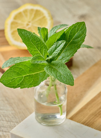 Fresh mint sprigs in a small glass bottle with water, placed on a wooden surface, with a blurred...