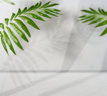 Green palm leaves on a light white wall and floor with falling shadows creating a natural...