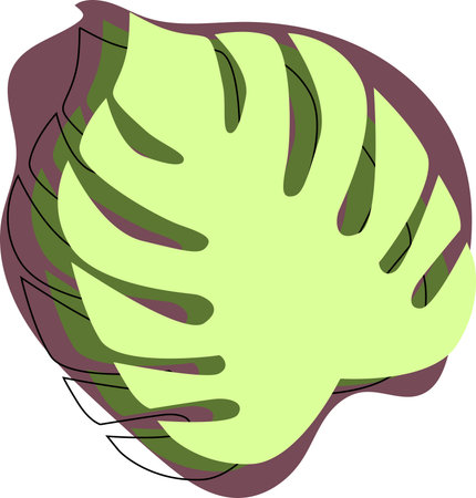 Monstera leaf in silhouette style with contour lines overlay, done in shades of green and purple on isolated backgroundのイラスト素材