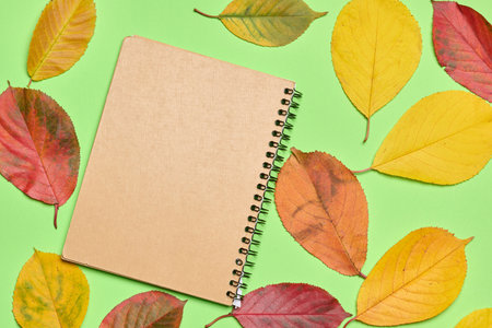 Notebook with a craft cover surrounded by bright autumn leaves on a green background