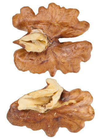 Half of a walnut kernel, macro, isolated background, set