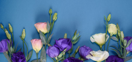 Fresh blooming flowers on blue background