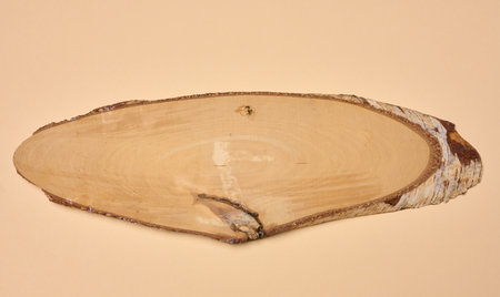 Oval birch cut on a beige background, top viewの写真素材