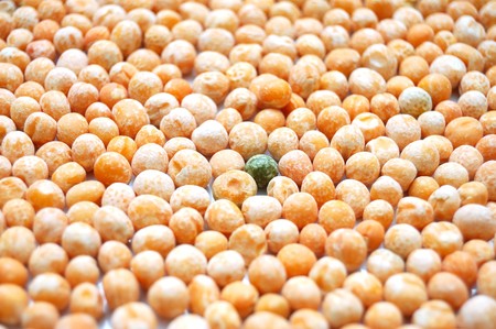 Green pea among identical yellow peasの写真素材