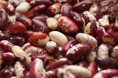 A texture of many spotted kidney beans