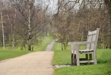 A bench in the park in early springの写真素材