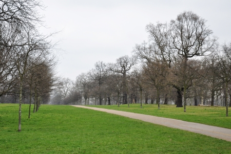 A lane in the park in early springの写真素材