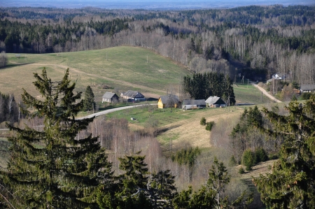 An aerial view of a village in the middle of the woodsの写真素材