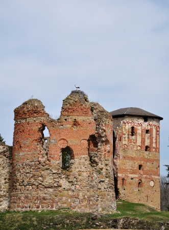 Stork on the ruins of old castleの写真素材