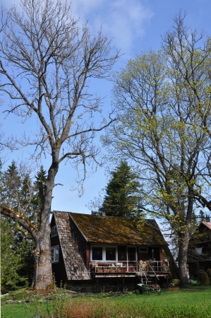 A country house between two treesの写真素材