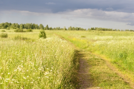 A country road in the fieldの写真素材