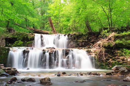 Water on the rocks into the forestの写真素材