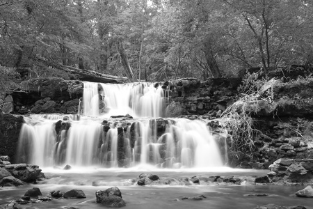 Water on the rocks into the forestの写真素材