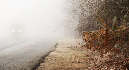 Autumn road and fog and the silhouette of trees