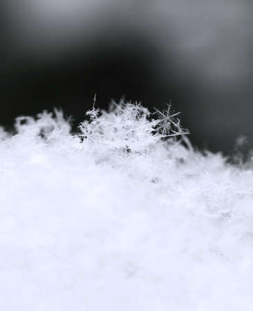 Snowflake in blue snow with crystals in good viewの写真素材