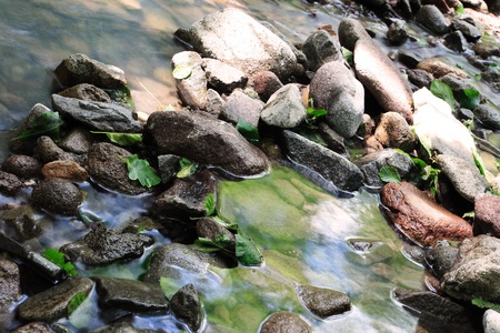 Water on the rocks into the forestの写真素材
