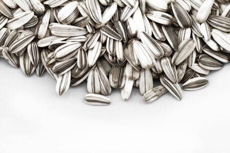 Sunflower seed isolated on white background
