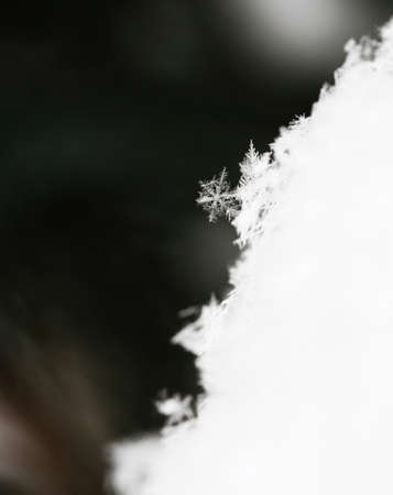 Snowflake in blue snow with crystals in good view