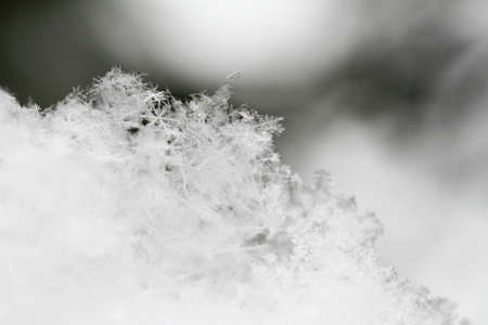 Snowflake in white snow with crystals in good viewの写真素材