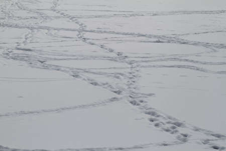 Footsteps on the snow in flat area