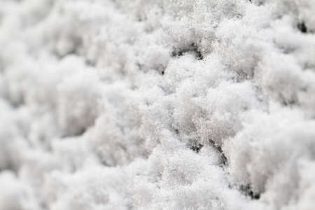 Snow surface in bright sunshineの写真素材