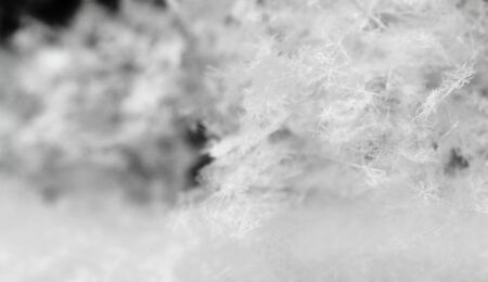 Close up, macro of snow with crystals in good viewの写真素材