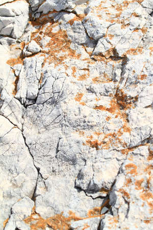 Photo of a beautiful cliff in 