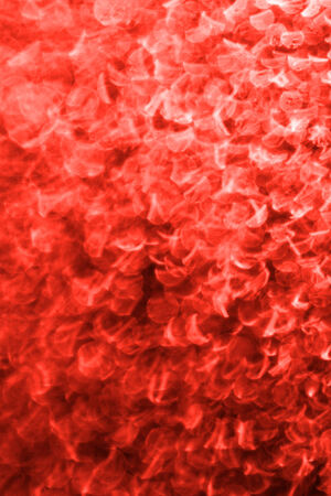 Macro of colorful water vapor in the windowの写真素材
