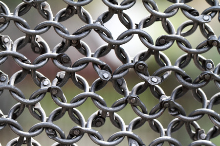 Close up photo of a special girdの写真素材