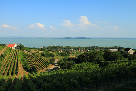 Landscape of the beautiful lake Balaton in Badacsonyの写真素材