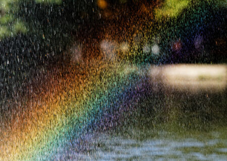Photo of a beautiful rainbow in the park の写真素材