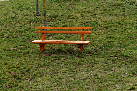 Photo of a brown bench in the park 