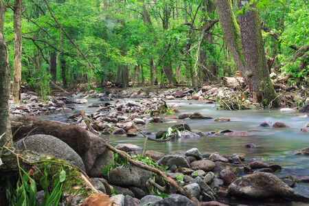 Beautiful natural stream in the forest - Hungary