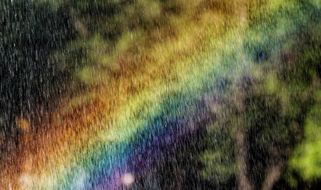Photo of a beautiful rainbow in the park の写真素材