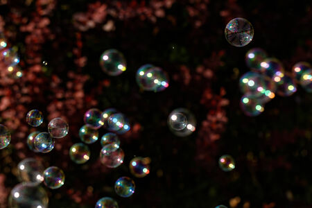 The rainbow bubbles from the bubble blowerの写真素材