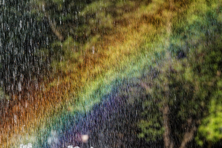 Photo of a beautiful rainbow in the parkの写真素材