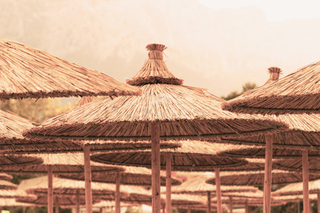 Photo of a parasol on the beachの写真素材