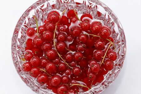 Photo of a bowl red current isolated white background