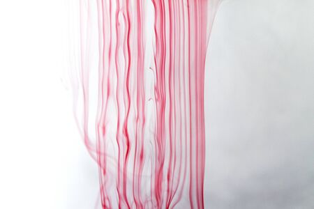 Photo of a tea bags soaked in waterの写真素材